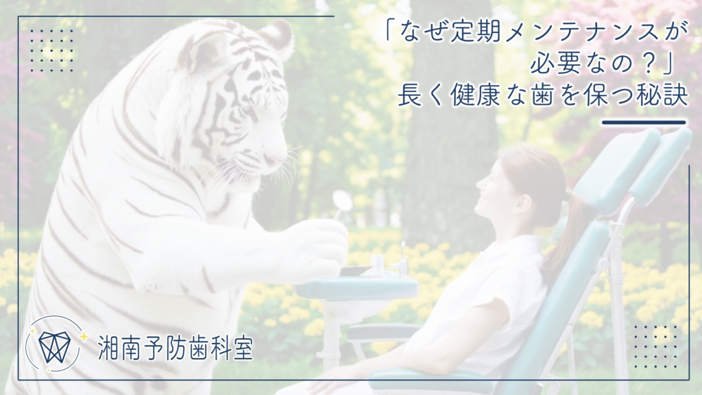 「なぜ定期メンテナンスが必要なの？」長く健康な歯を保つ秘訣